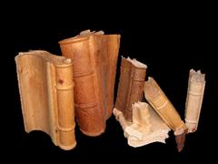 Books in wood