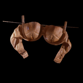 Bra in wood - CLICK HERE TO ZOOM